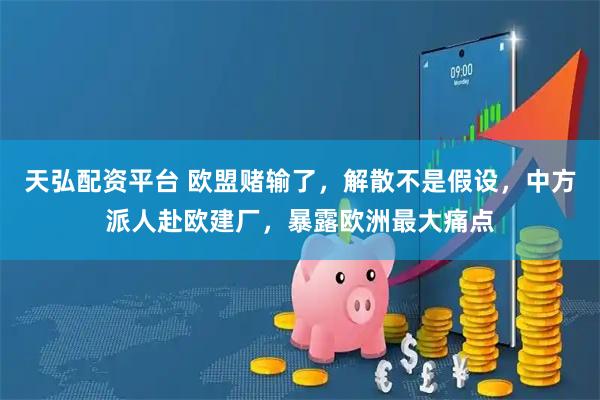 天弘配资平台 欧盟赌输了，解散不是假设，中方派人赴欧建厂，暴露欧洲最大痛点