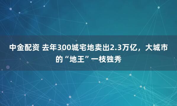 中金配资 去年300城宅地卖出2.3万亿，大城市的“地王”一枝独秀