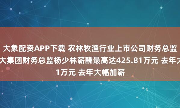 大象配资APP下载 农林牧渔行业上市公司财务总监PK:海大集团财务总监杨少林薪酬最高达425.81万元 去年大幅加薪