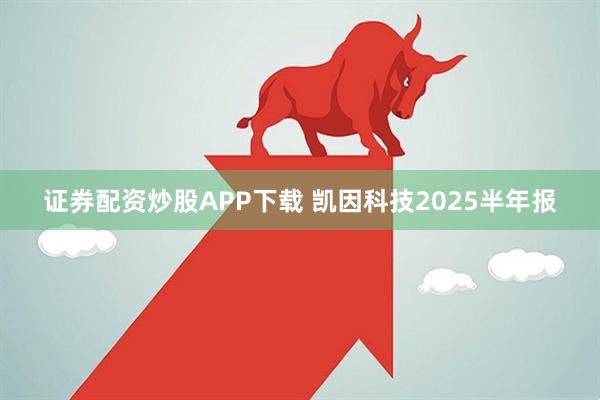 证券配资炒股APP下载 凯因科技2025半年报
